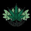 Organic Profile Picture